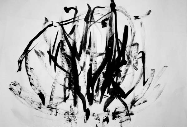 An ink drawing made with IDA: dense overlapping strokes forming an organic mass.